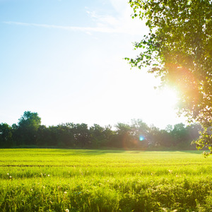 太陽の恵みジャズモーニング