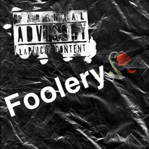 FOOLERY