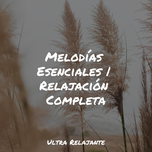 Paisajes De Ensueño De Horizontes