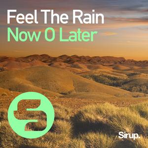 Feel The Rain (Extended Mix)