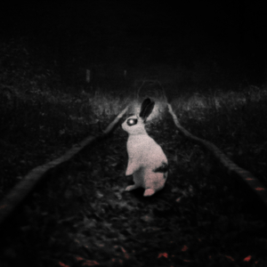 רוקנ'רול במזרח