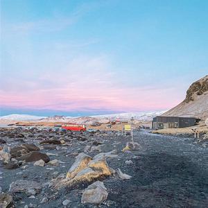 静看花落也是种好境界