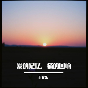 爱的记忆，痛的回响