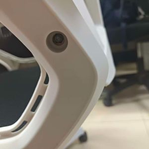 风栖梧桐
