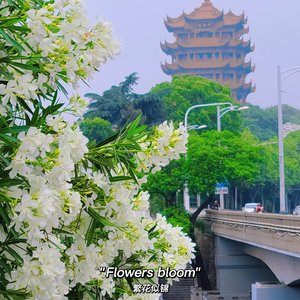 究竟要多少眼泪 才能把心碎熬成无所谓