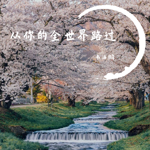 白山茶（翻自 运运er）