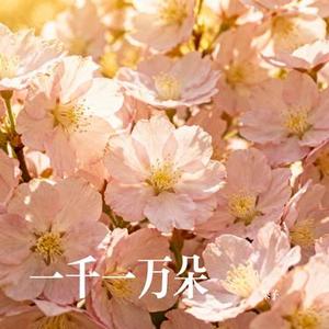 一千一万朵 (Cover 马嘉祺)