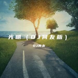 谭艳 - 光明 (DJ何友版)