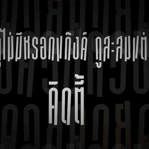 mohogono studio vecto KITTY GANG