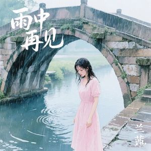 雨中再见