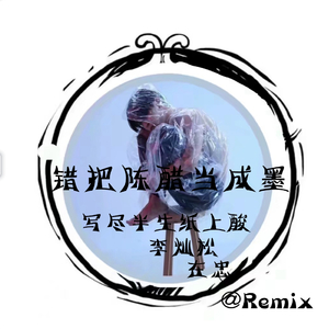 夏天的风(Remix)