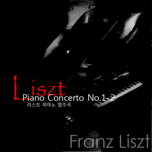 Piano Concerto No.2 in A major 1.Adagio sostenuto assai (리스트：피아노 협주곡 2번 가장조 제1악장 아다지오 소스테누토 아사이)