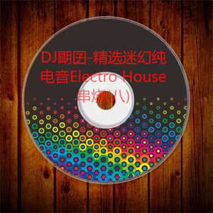 精选迷幻纯电音Electro House串烧(八)