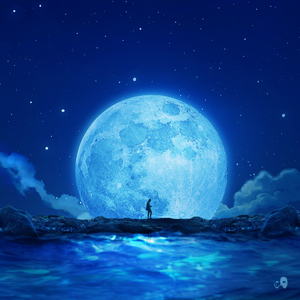 Time to shine (Art. Brown Tigger (브라운티거))