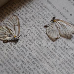 富春江的云与雾