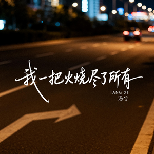 我一把火烧尽了所有