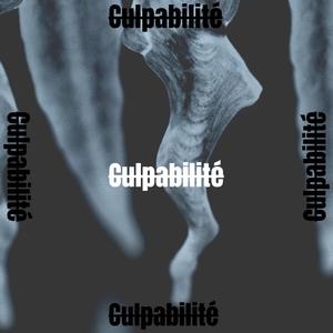 Culpabilité (feat. Harmonyz)