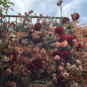 玩美（cover 蔡依林）.mp3