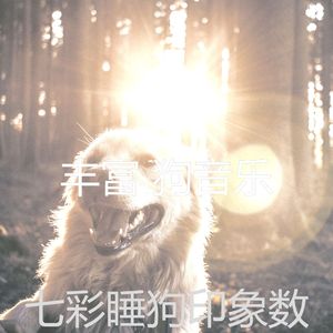 柔和的小狗时刻