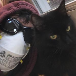 All Dogs Go to Heaven