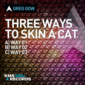 Three Ways To Skin A Cat (Way 3)