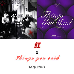 红 x Things You Said (完整）