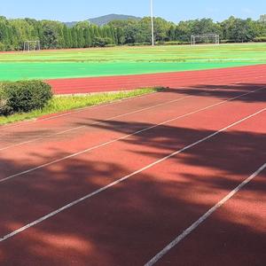 鲜花铺满未来的路--录音带