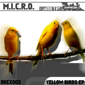 Yellow Birds