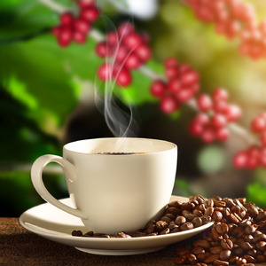 コーヒートロピカル