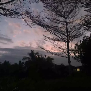 阿明专属dj一样的月光