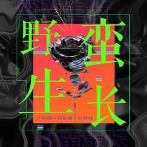 野蛮生长【翔霖应援曲】