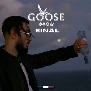 Goose