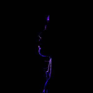 Transition