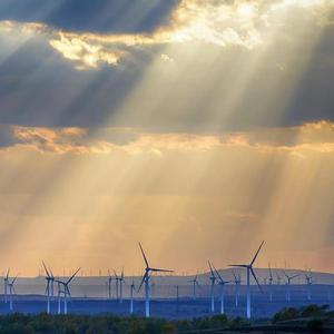 蒙彼利埃的春天