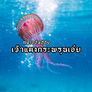 เจ้าแมงกระพรุนเอ๋ย