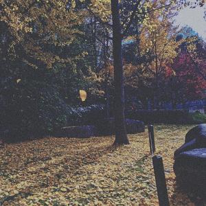 MOONWALKER（Cover BrAnTB白景屹）