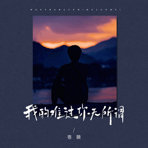 我的难过你无所谓