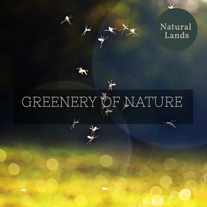 Fascinating Songbirds