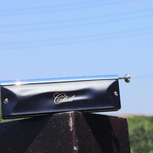 凤凰花开的路口 口琴