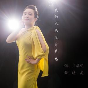 《我的未来没有乡愁 》词：王华明 曲：晓其 演唱：胡芳