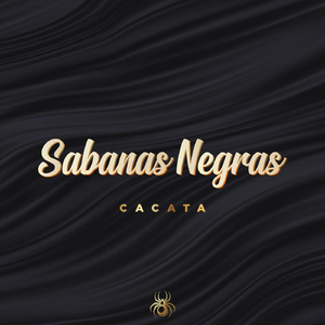 Sabanas Negras