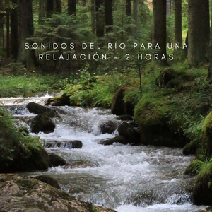 Sonidos Del Río Para Una Relajación - 2 Horas