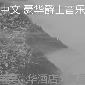 柔和的吧台时刻