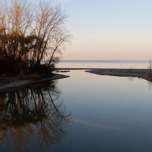 estuary. (feat. wolfrum. & TameCheetah Beats) (everglades 2)