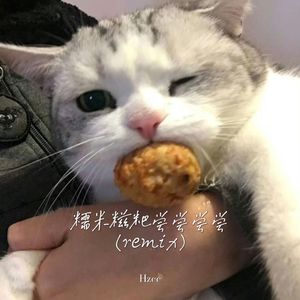 糯米糍粑尝尝尝尝（remix）