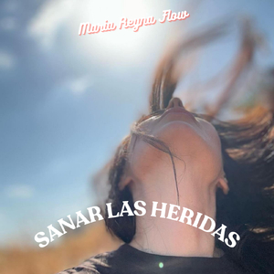 Sanar las heridas