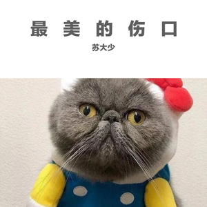 最美的伤口(抖音版)