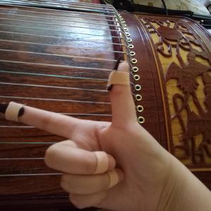 【古筝】浮生辞（Cover 银临）