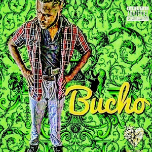 Bucho