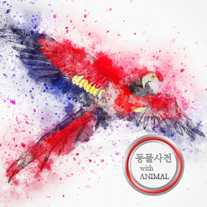 크리스마스의 첫키스